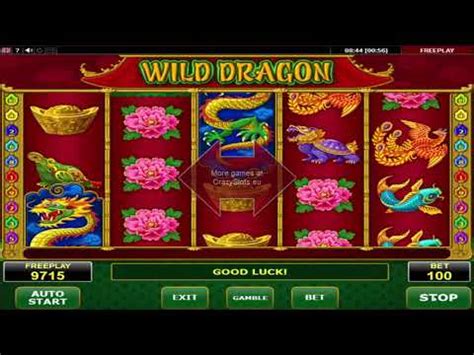 casino casino wild dragon